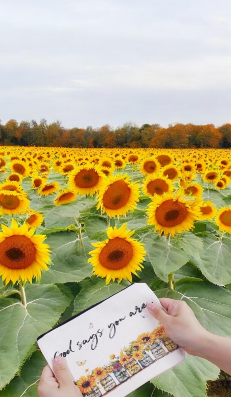 Bolsa con Citas Bíblicas y Vasos con Girasole 🌻📖